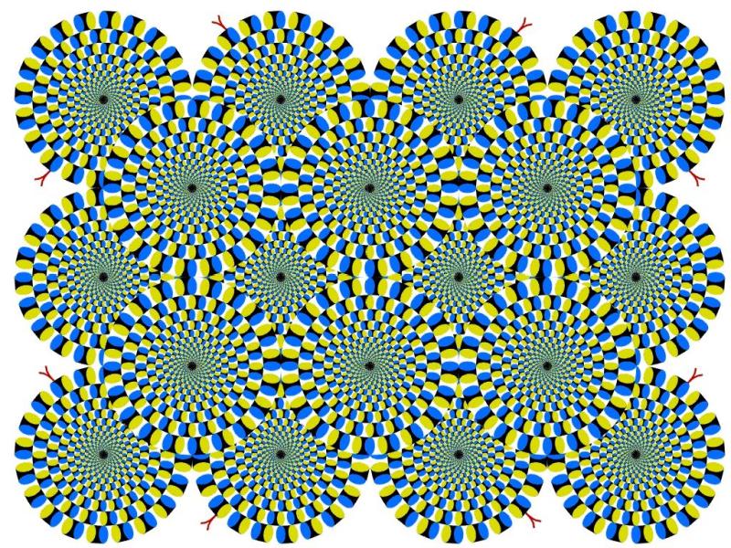 Opticans Illusion