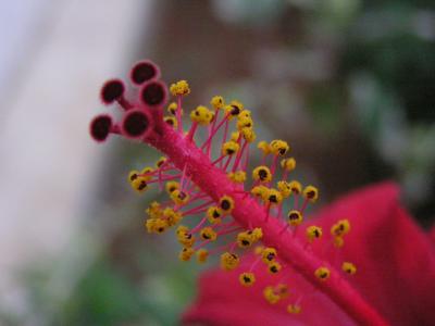P4190081.JPG
