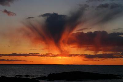 Elephant cloud 2