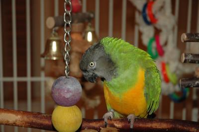 DSC_0149.JPG