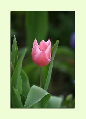 IMG_6784{Q}FM.jpg