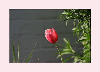 IMG_6874{Q}FM.jpg
