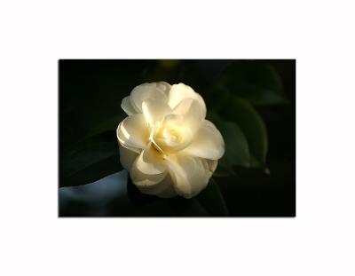 IMG_6891{Q}FM.jpg