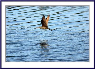 IMG_6011ps{Q}.jpg