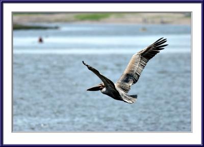IMG_6045ps{Q}.jpg