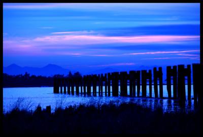 River Pilings