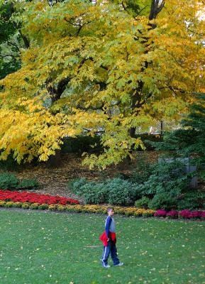 George in Central Park