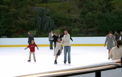 Skating professionals
