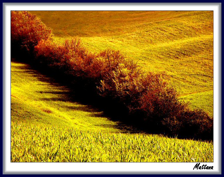 Tuscan Landscape