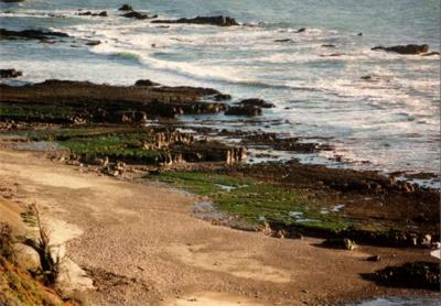 West Cliff Drive