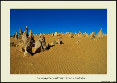 Nambung National Park 8