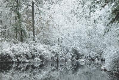 Scenes of Winter