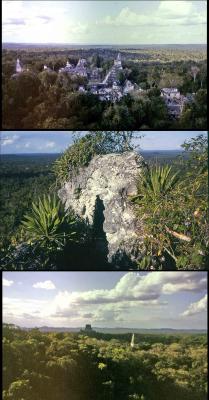 TIKAL, El Petn, Guatemala