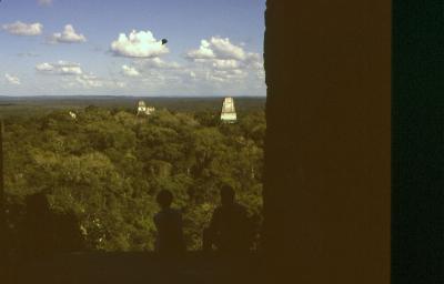 From Temple IV at Tikal