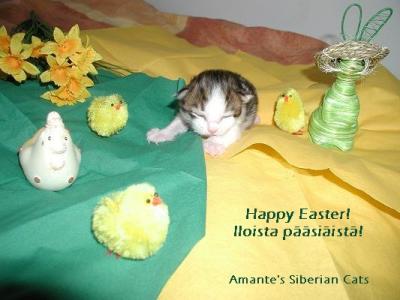 Happy Easter!  - Iloista pääsiäistä!