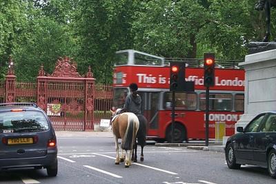 London horses