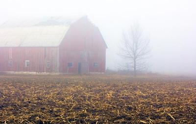 Barn & Tree in Mist