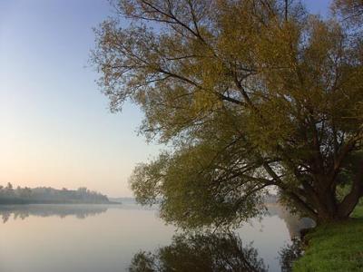 Scugog River at Dawn2
