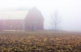 Barn & Tree in Mist