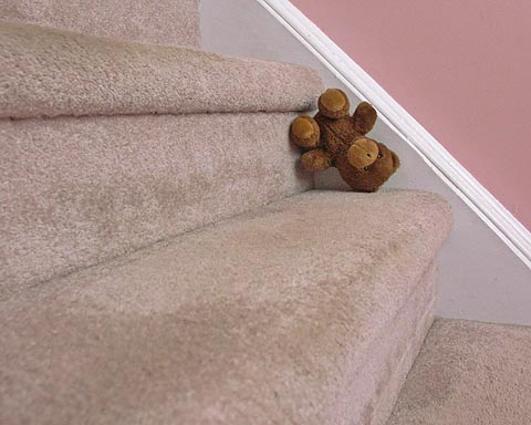 Perils of a Puppy Toy