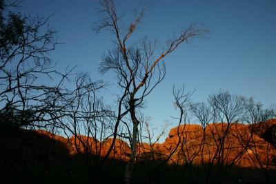 IMG_8565.JPG