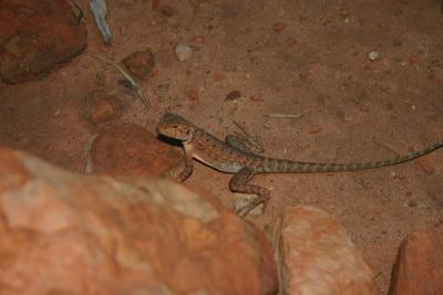 IMG_8569.JPG