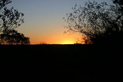 IMG_8580.JPG