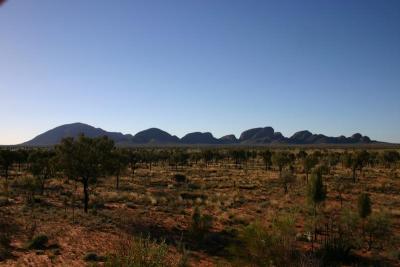 All the Olgas