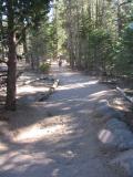 An Easy Stretch of the Trail Leading To Half Dome Trail (IMG_8691.JPG)