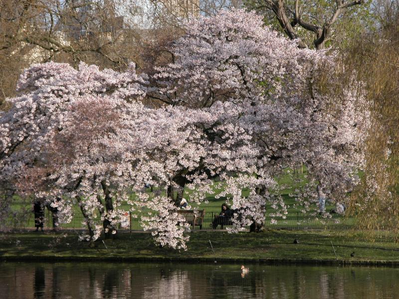St. Jamess Park