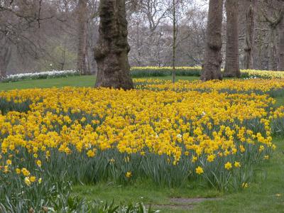St. James Park