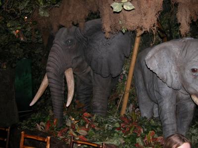 Rainforest Cafe
