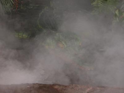 Rainforest Cafe