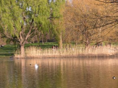St. James's Park