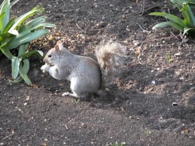 St. James's Park