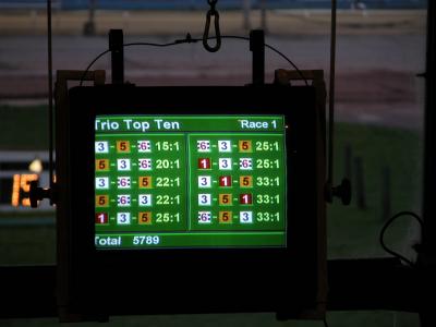 Wimbledon Greyhound Stadium
