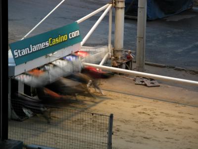 Wimbledon Greyhound Stadium