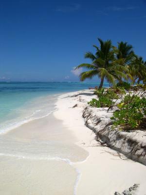 Maldives - The Last Paradise on Earth