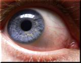 Eye Macro   (Multi POTD Winner)