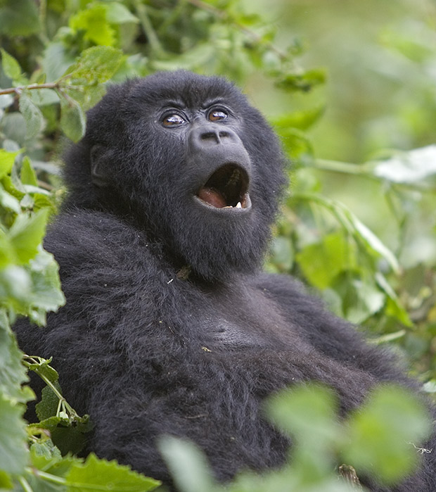 Open mouth