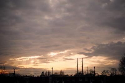 Image 101