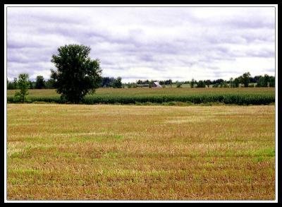 u43/mikoyen/medium/34325087.Paysages.jpg