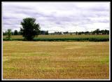Paysages.jpg