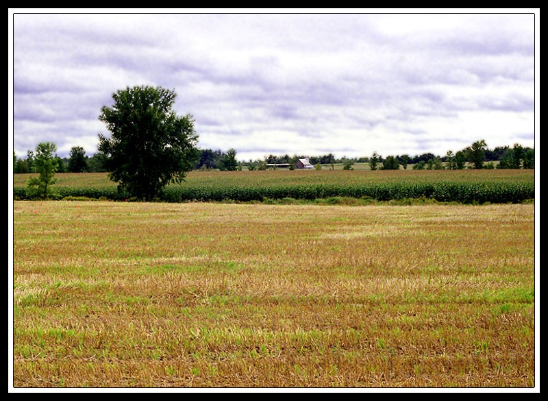 Paysages.jpg