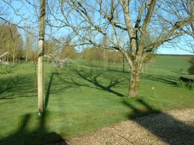 u43/minstermineman/medium/28232166.Garden.jpg