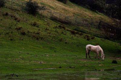 rain in CA.jpg