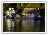 Riverside thatch at Dittisham