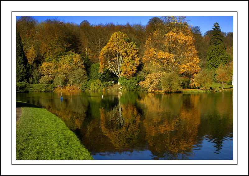 Stourhead ~ mirror, mirror! (2952)