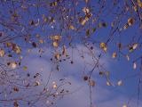 u43/mosko/upload/28259277.15361940.jpg
