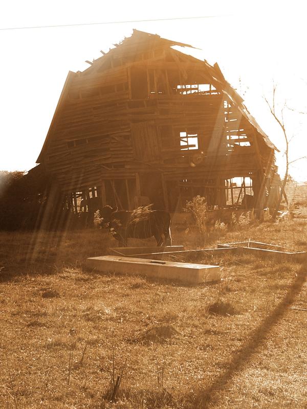 4-18-04 The Old Barn